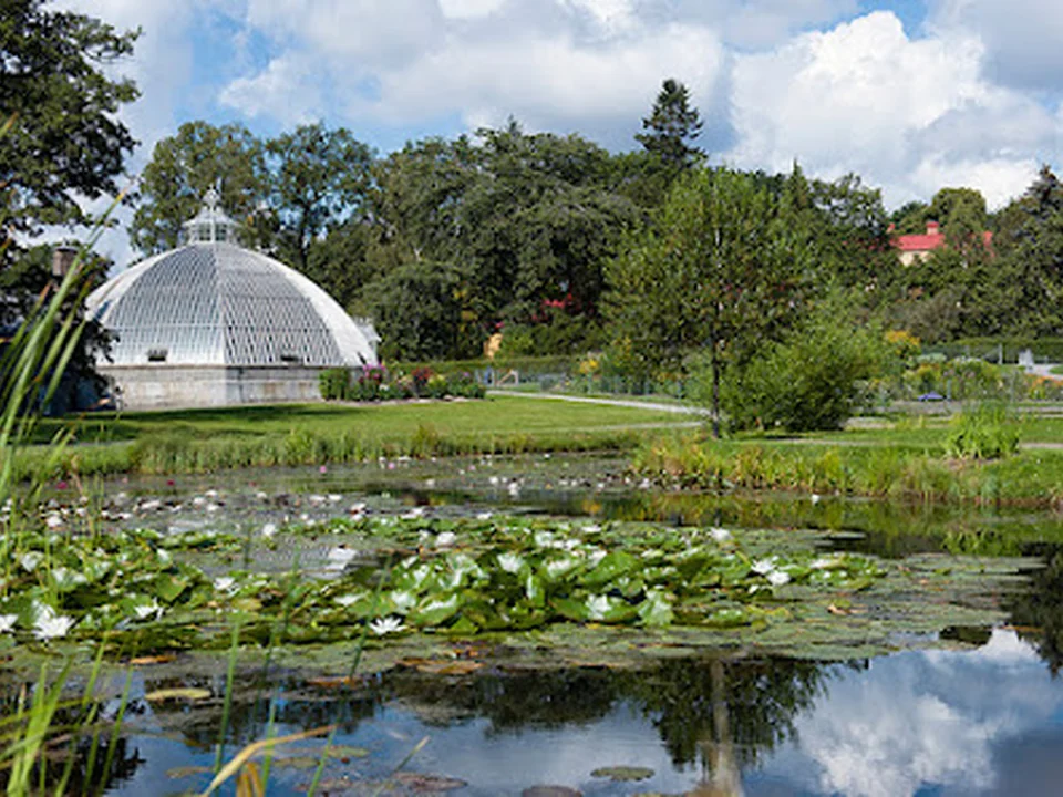 Foto de Bergianska trädgården