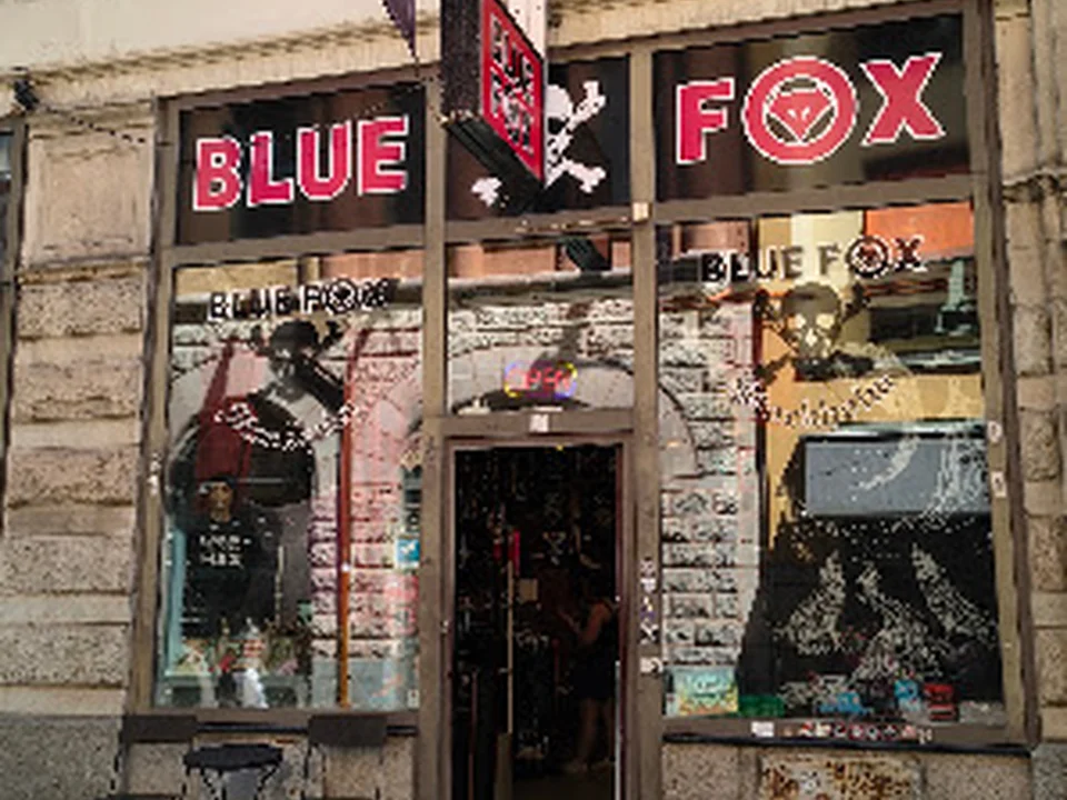 Foto de Blue Fox