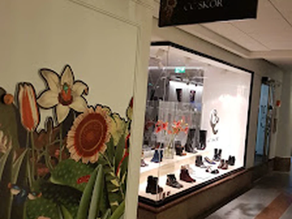 CC Shoes