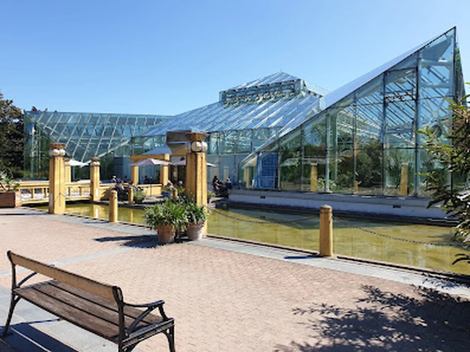 Edvard Andersons greenhouse