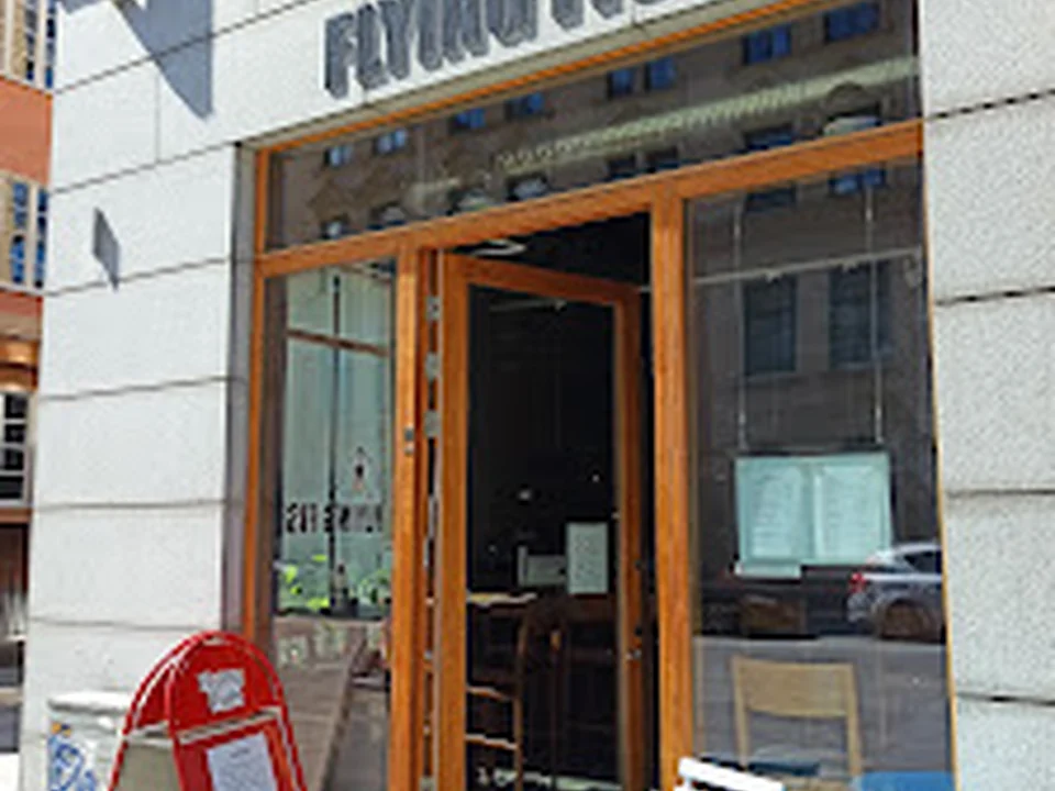 Flying Fish