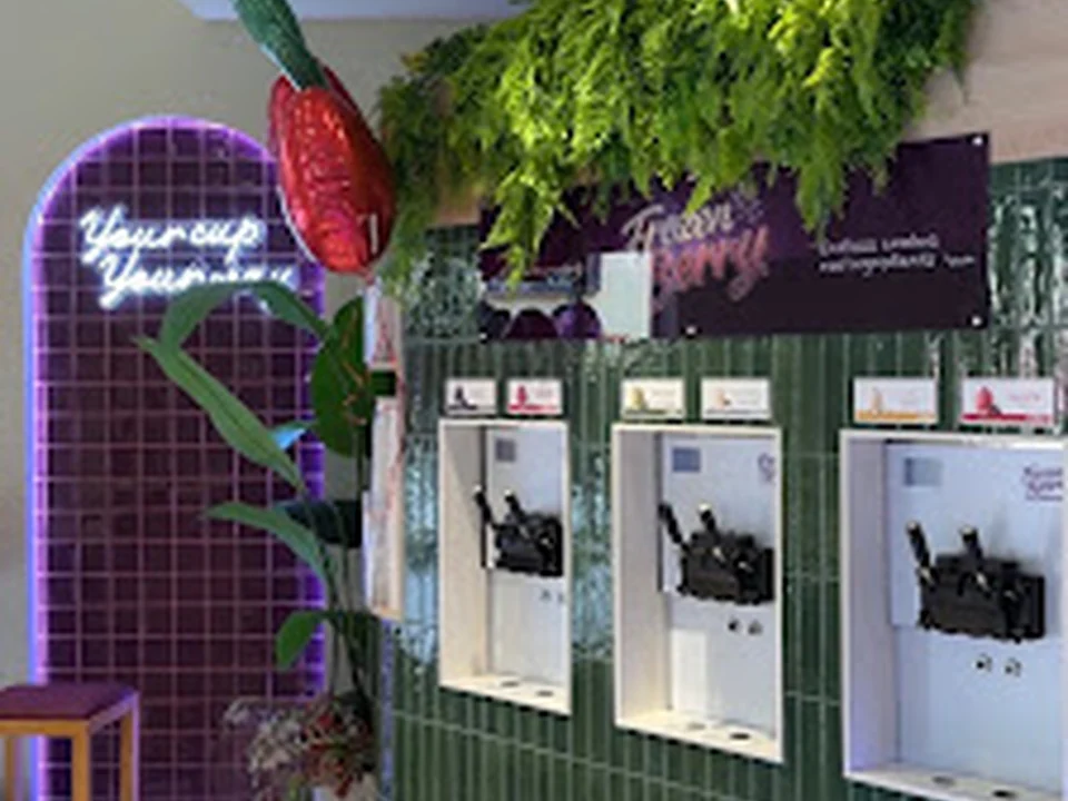Foto de FrozenBerry - Acai & Frozen Yoghurt