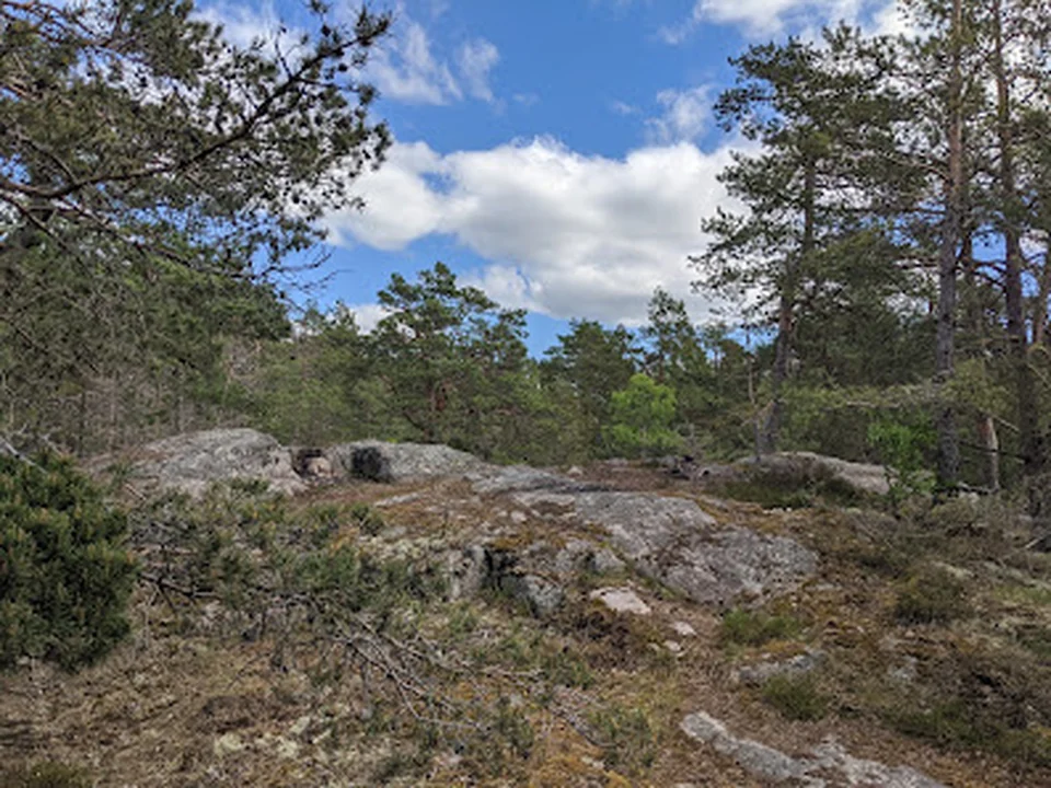 Grimsta nature reserve