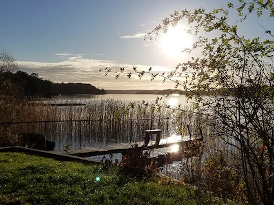 Isbjörnarnas Bastuförening