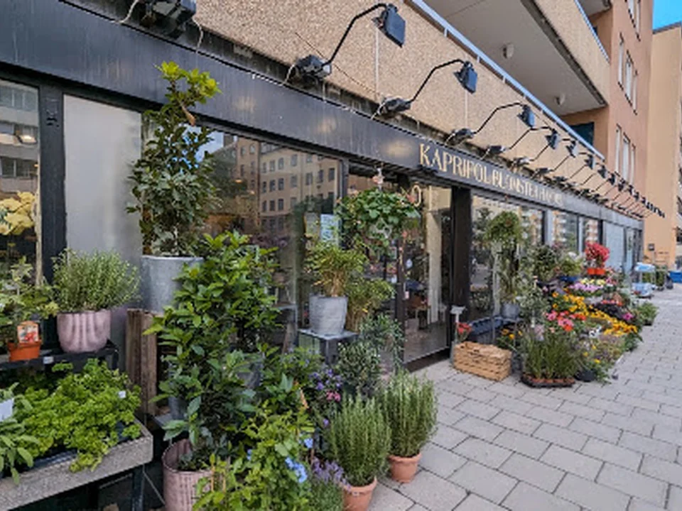 Kaprifol Blomsterhandel