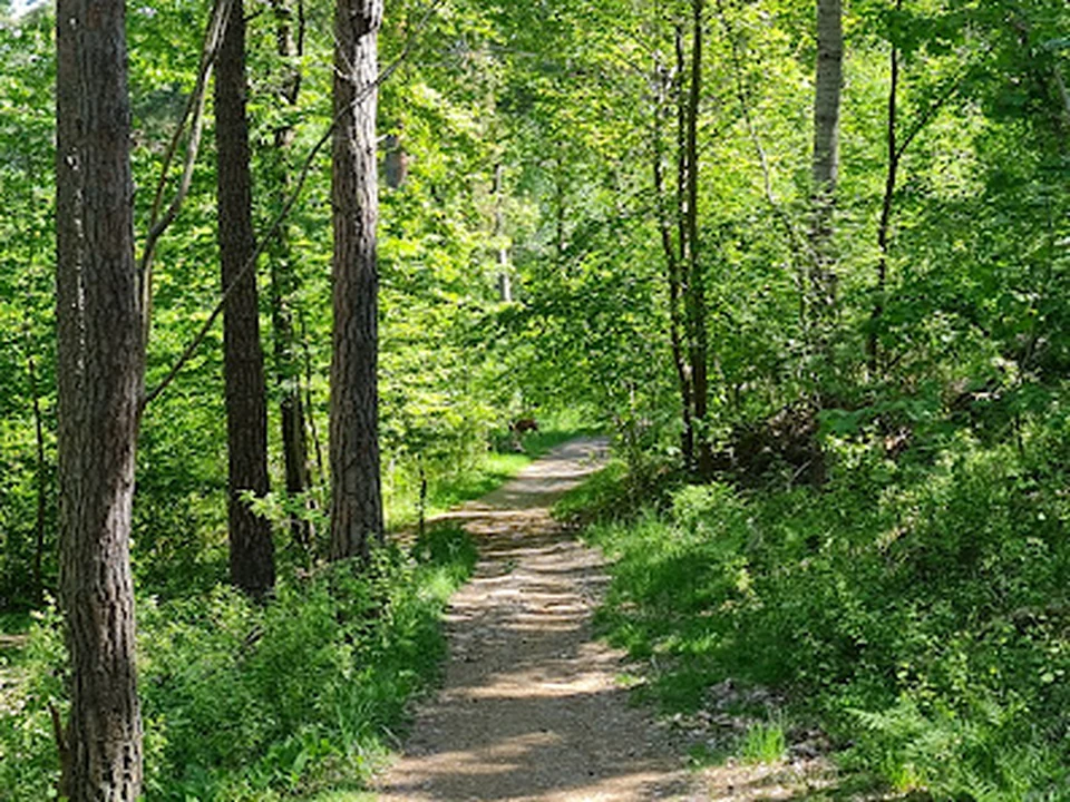 The Årsta Forest Nature Reserve