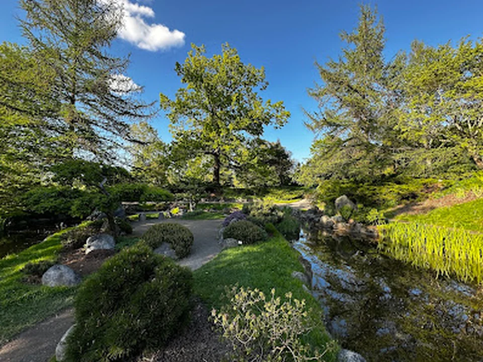 The Japanese Pond