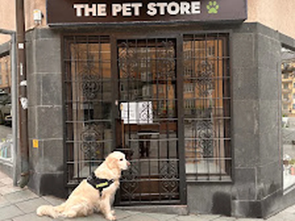 The Pet Store Kungsholmen