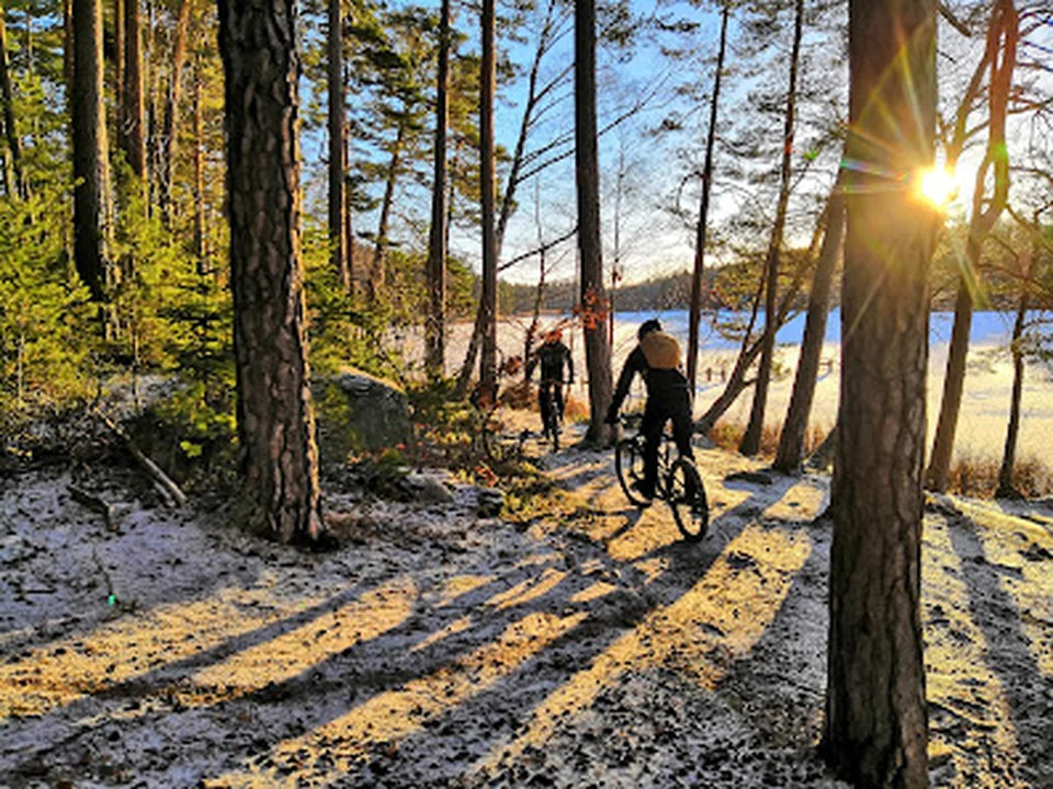 True Nature Sweden AB