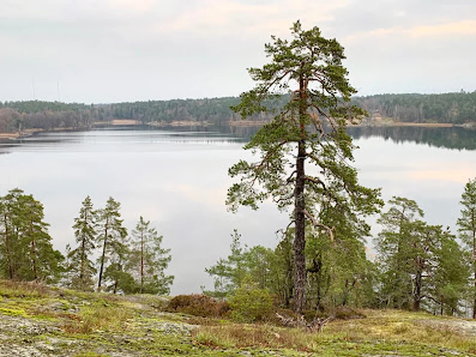 Flatens naturreservat, Stockholm