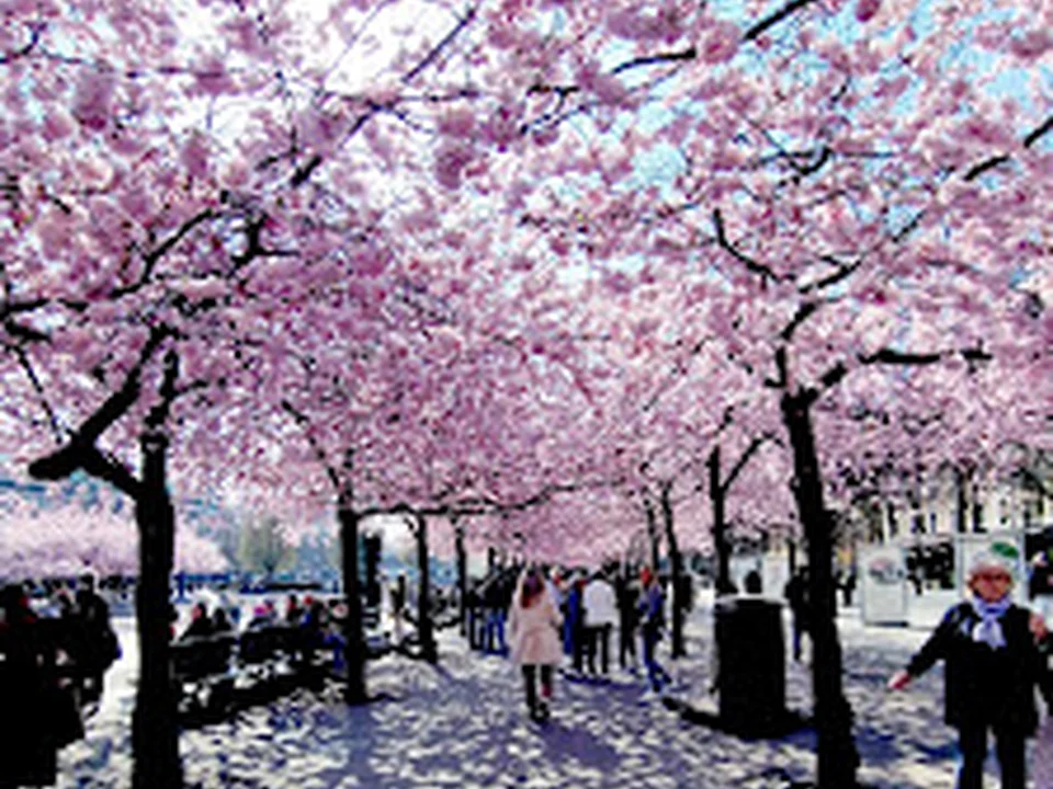 King's Garden, Stockholm
