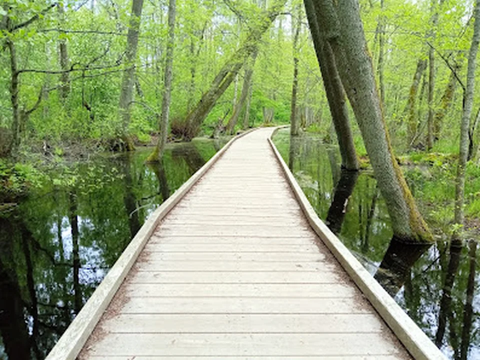 Kyrksjölöten Naturreservat, Stockholm