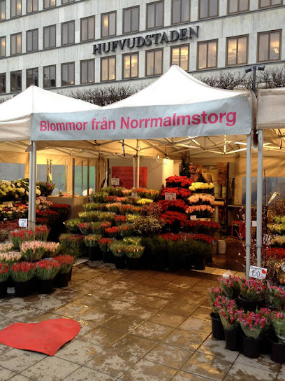 Blommor Från Norrmalmstorg