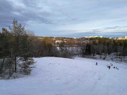 Farstanäsets Pulkbacke