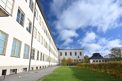 Internationella Engelska Gymnasiet