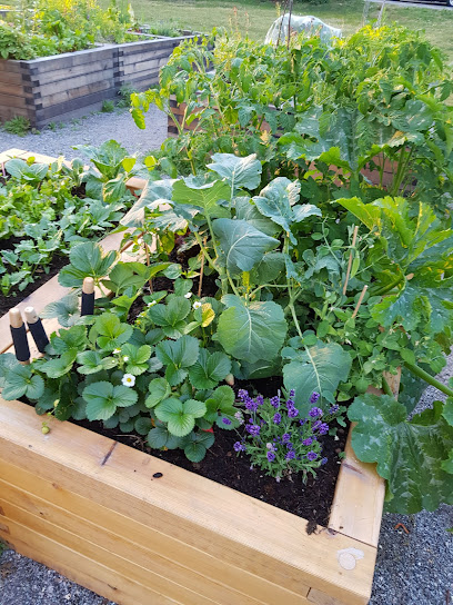 Tessinparken urban farming