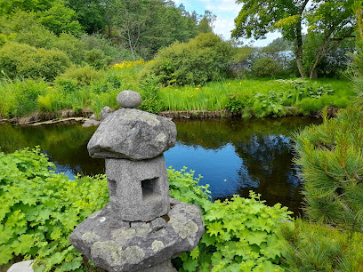 The Japanese Pond