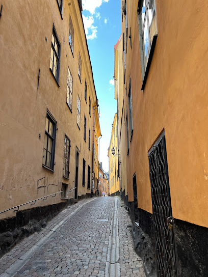 Stockholm's narrowest street (Mårten Trotzigs gränd)