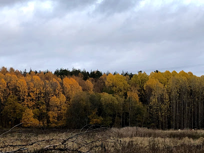 Nötbacken