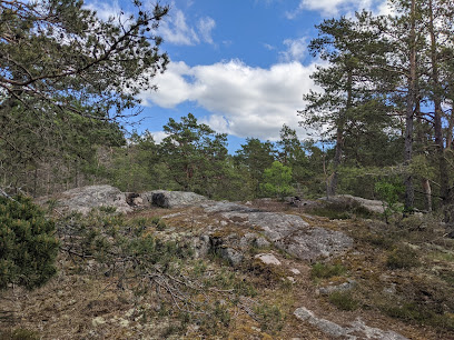 Grimsta nature reserve